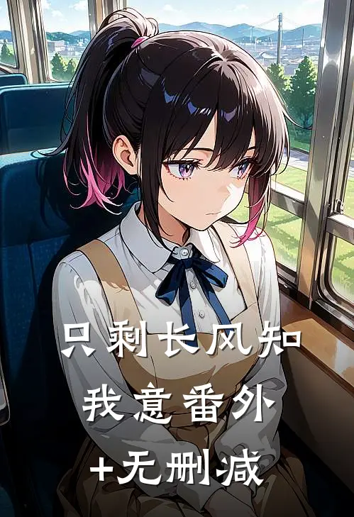 只剩长风知我意番外+无删减