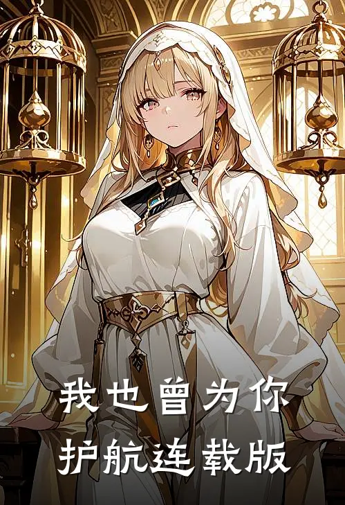 我也曾为你护航连载版