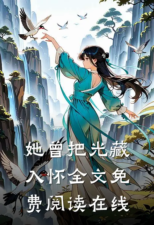 她曾把光藏入怀全文免费阅读在线
