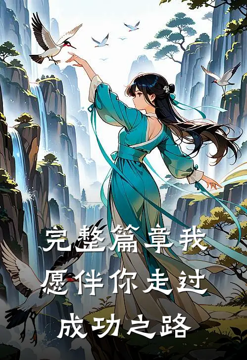 完整篇章我愿伴你走过成功之路