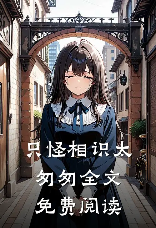 只怪相识太匆匆全文免费阅读