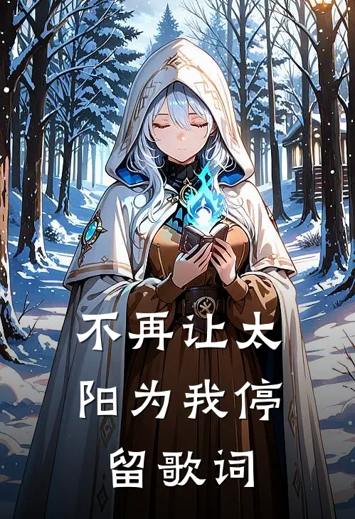 不再让太阳为我停留歌词