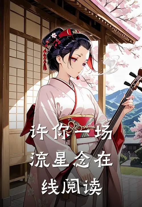 许你一场流星念在线阅读