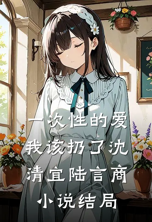 一次性的爱，我该扔了沈清宜陆言商小说结局
