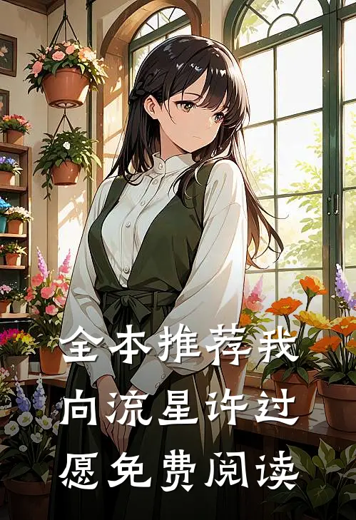 全本推荐我向流星许过愿免费阅读