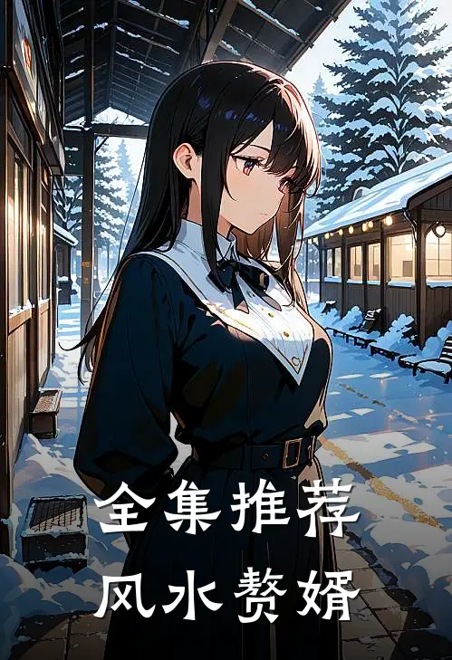 全集推荐风水赘婿