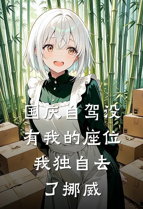 国庆自驾没有我的座位，我独自去了挪威