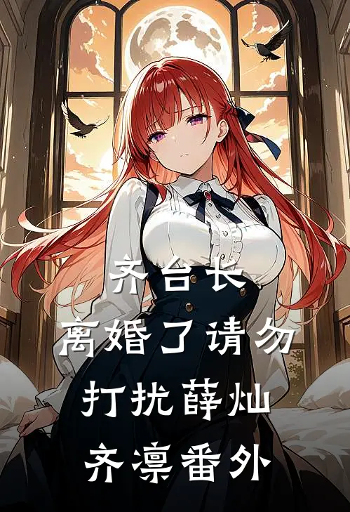 齐台长，离婚了请勿打扰薛灿齐凛番外