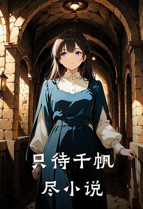 只待千帆尽小说
