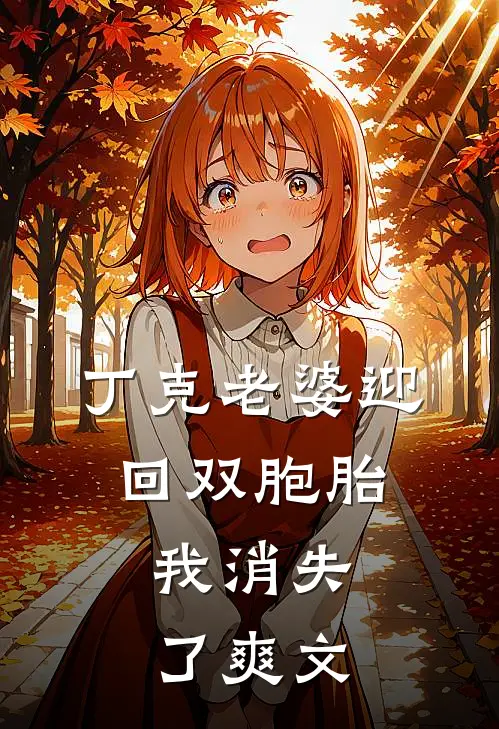 丁克老婆迎回双胞胎，我消失了爽文