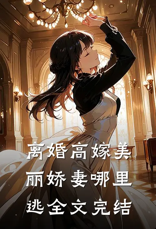 离婚高嫁美丽娇妻哪里逃全文完结