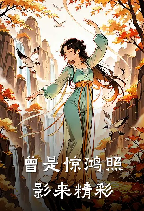 曾是惊鸿照影来精彩