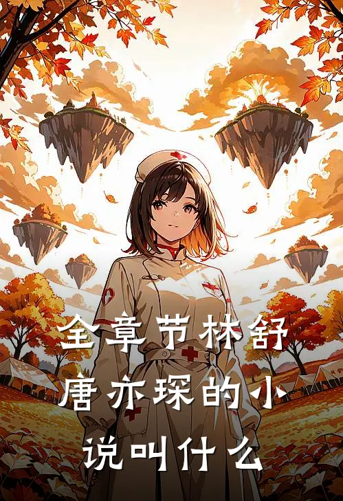 全章节林舒唐亦琛的小说叫什么