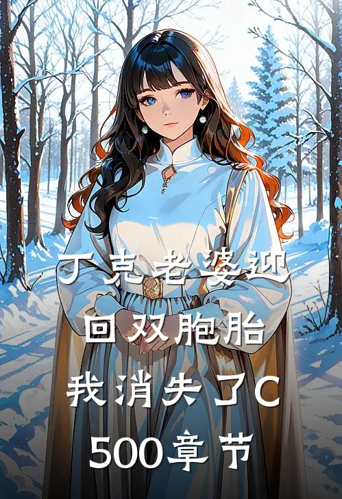 丁克老婆迎回双胞胎，我消失了C500章节