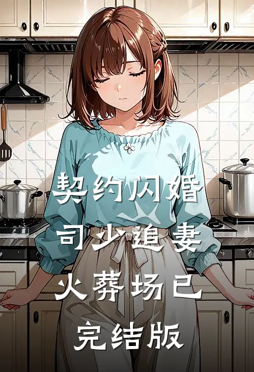 契约闪婚：司少追妻火葬场已完结版
