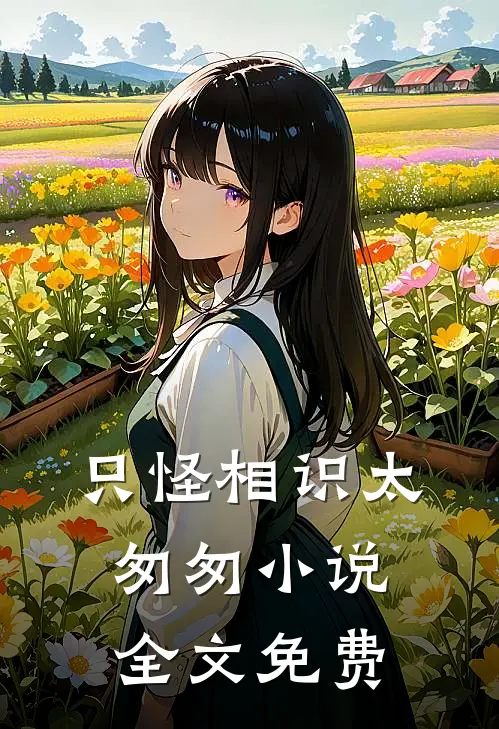 只怪相识太匆匆小说全文免费