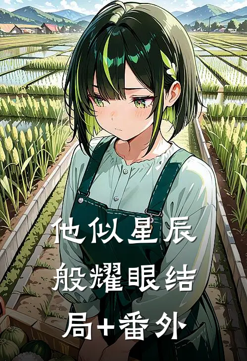 他似星辰般耀眼结局+番外