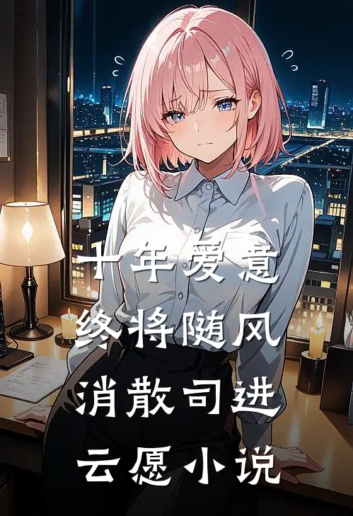 十年爱意终将随风消散司进云愿小说