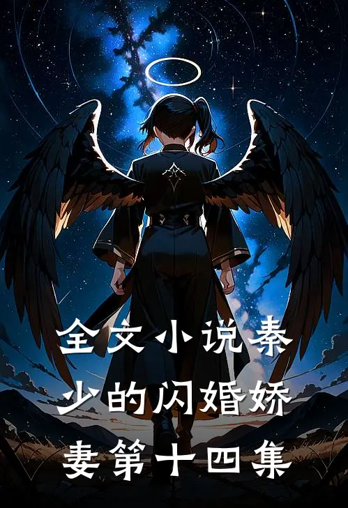 全文小说秦少的闪婚娇妻第十四集