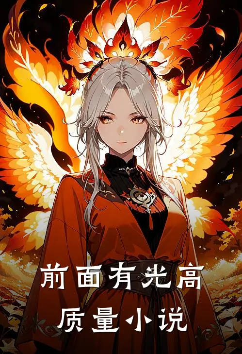 前面有光高质量小说