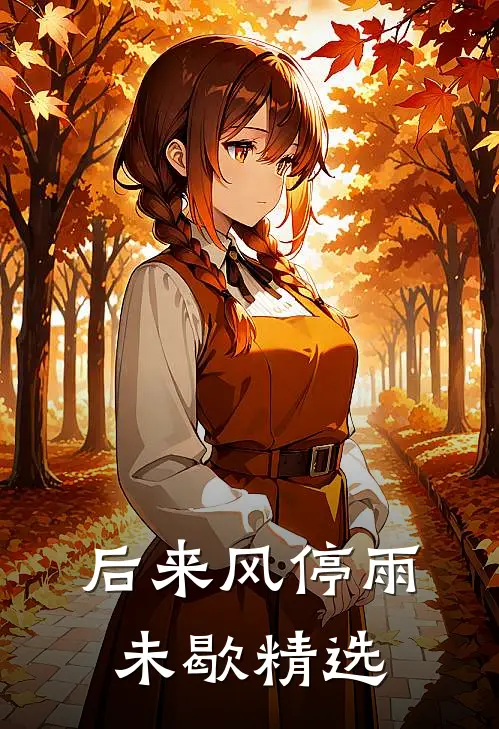 后来风停雨未歇精选