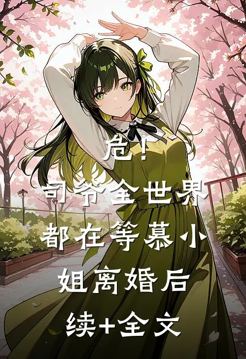 危！司爷，全世界都在等慕小姐离婚后续+全文