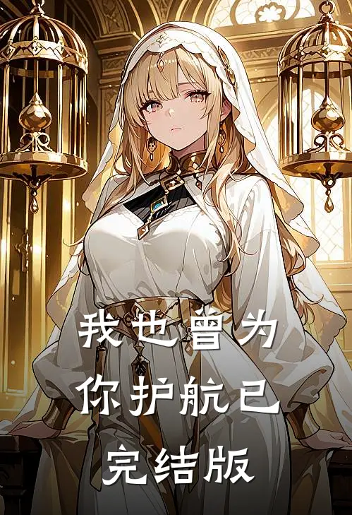 我也曾为你护航已完结版
