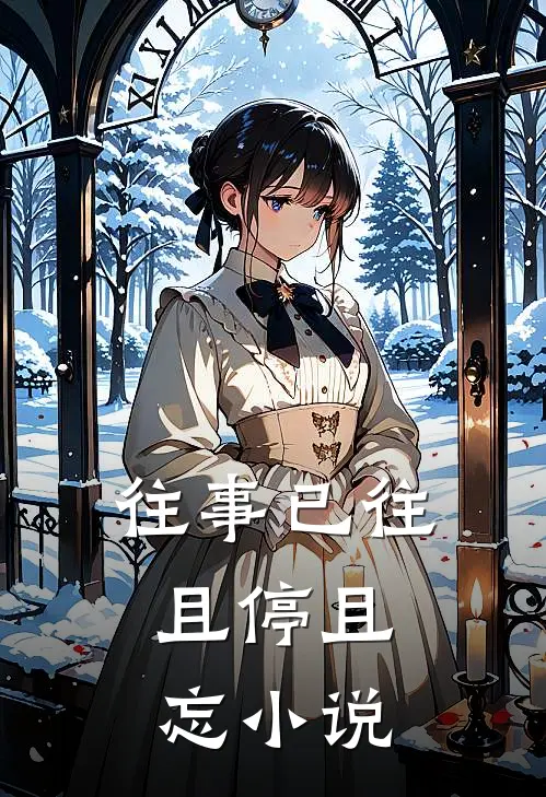 往事已往，且停且忘小说