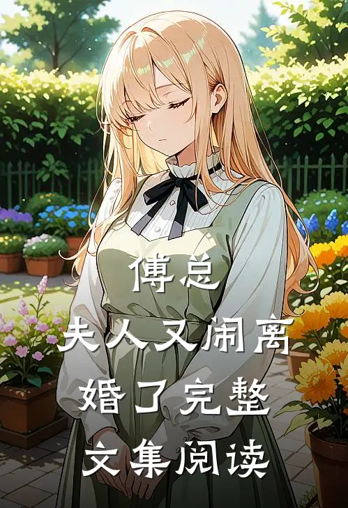 傅总，夫人又闹离婚了完整文集阅读