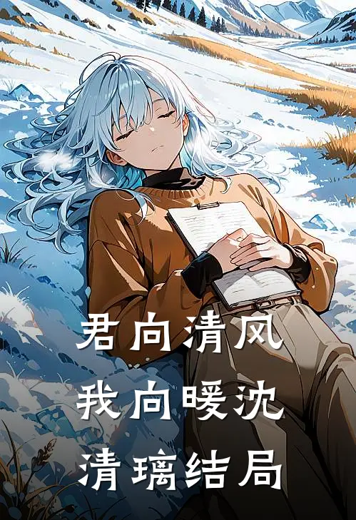 君向清风我向暖沈清璃结局