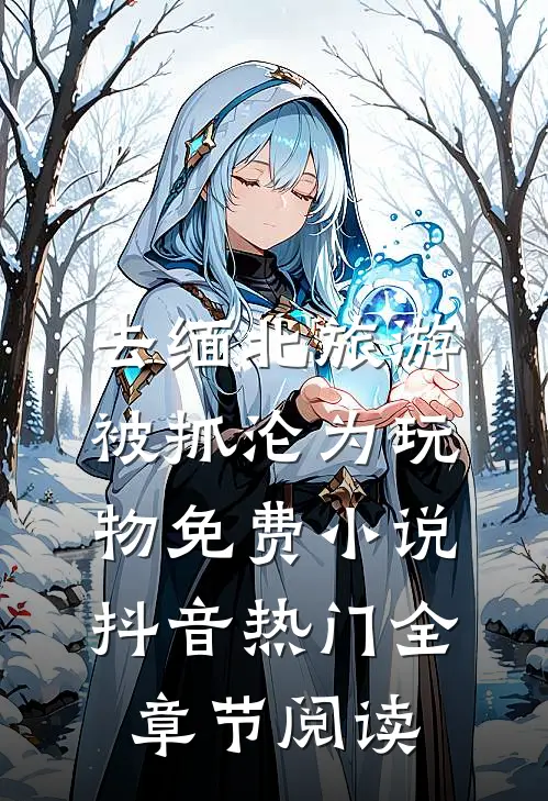 去缅北旅游被抓沦为玩物免费小说抖音热门全章节阅读