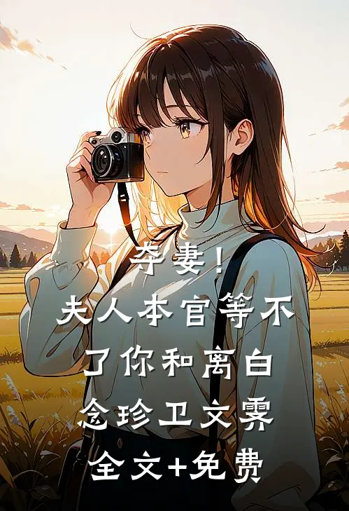 夺妻！夫人，本官等不了你和离白念珍卫文霁全文+免费