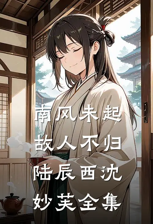南风未起，故人不归陆辰西沈妙芙全集