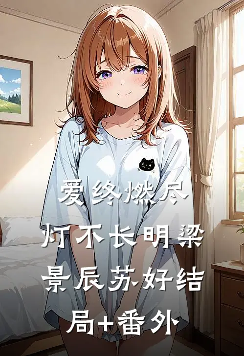 爱终燃尽，灯不长明梁景辰苏好结局+番外