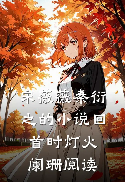 宋薇薇秦衍之的小说回首时灯火阑珊阅读