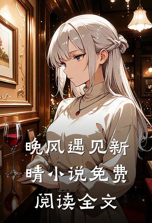 晚风遇见新晴小说免费阅读全文