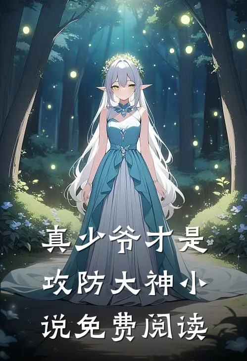 真少爷才是攻防大神小说免费阅读
