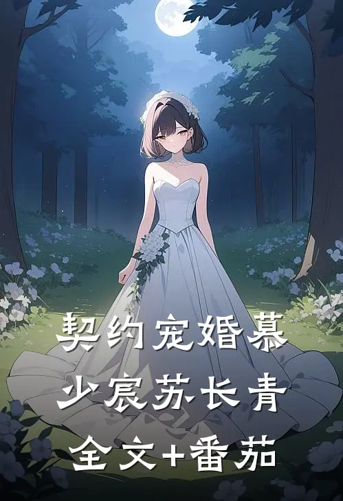 契约宠婚慕少宸苏长青全文+番茄