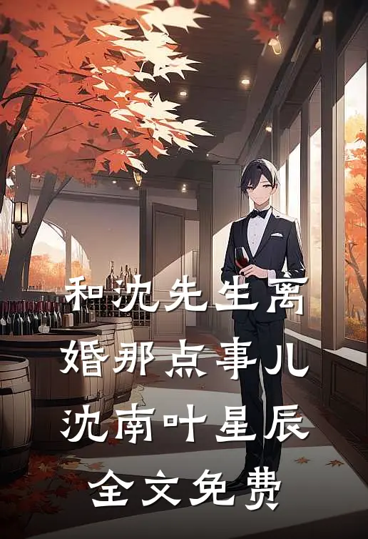 和沈先生离婚那点事儿沈南叶星辰全文免费
