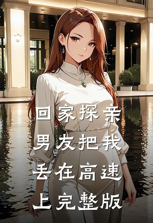回家探亲，男友把我丢在高速上完整版