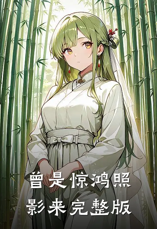 曾是惊鸿照影来完整版
