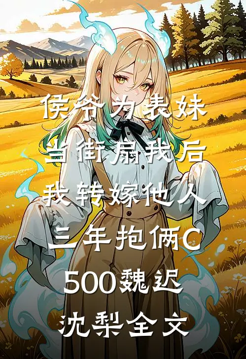 侯爷为表妹当街扇我后，我转嫁他人三年抱俩C500魏迟沈梨全文