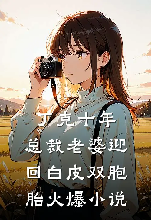 丁克十年，总裁老婆迎回白皮双胞胎火爆小说