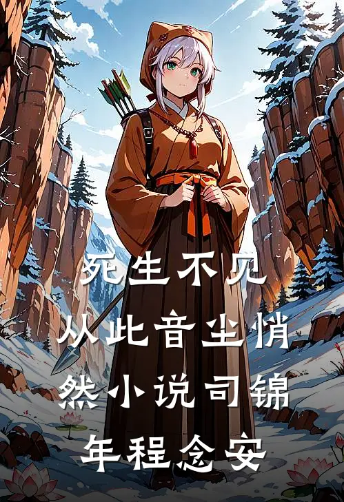 死生不见，从此音尘悄然小说司锦年程念安