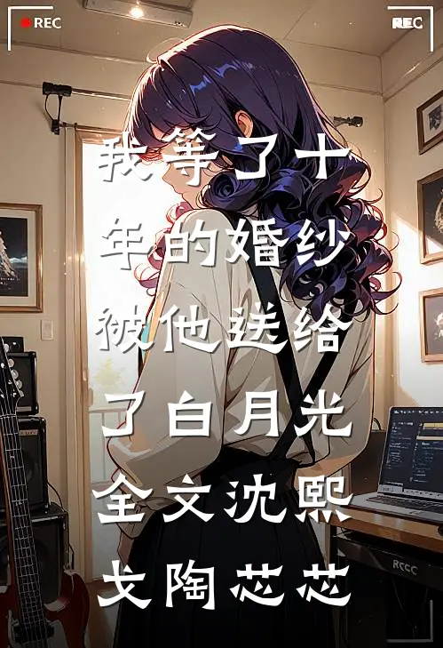 我等了十年的婚纱，被他送给了白月光全文沈熙戈陶芯芯