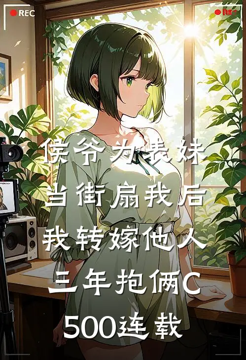 侯爷为表妹当街扇我后，我转嫁他人三年抱俩C500连载