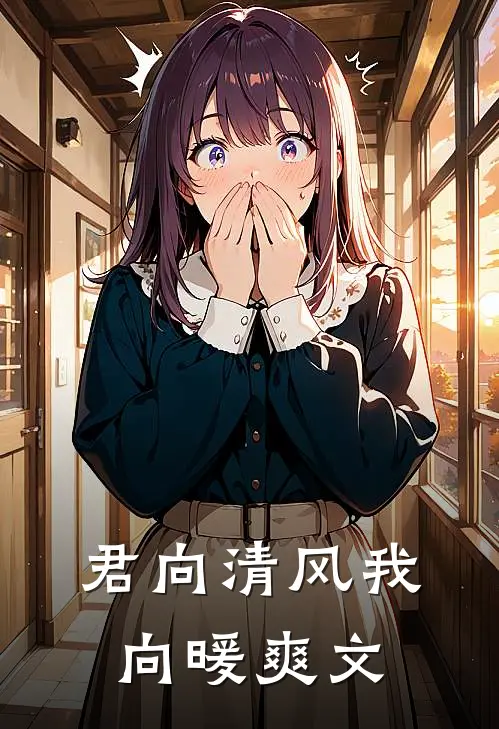 君向清风我向暖爽文