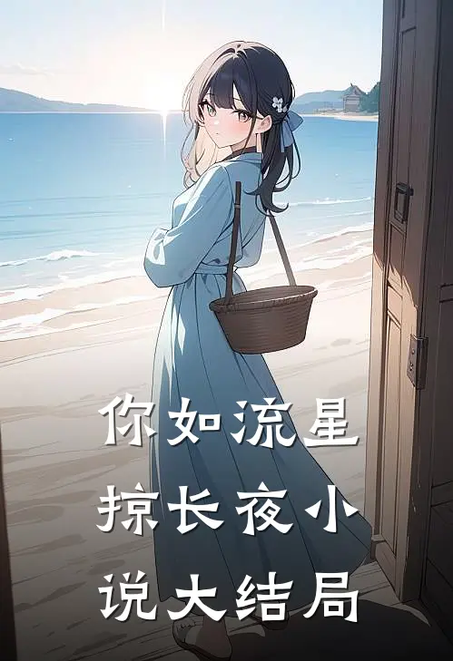 你如流星掠长夜小说大结局