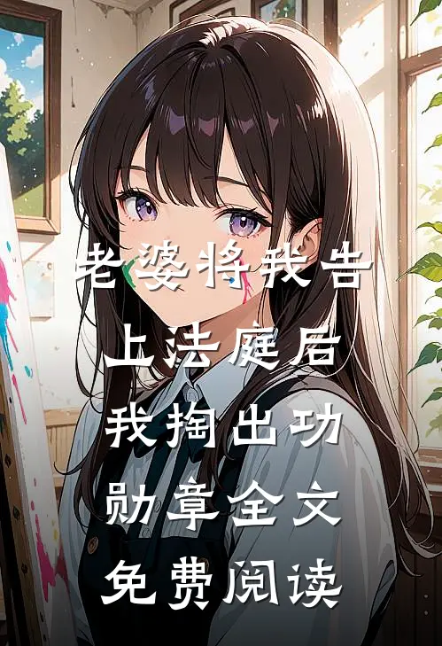 老婆将我告上法庭后，我掏出功勋章全文免费阅读