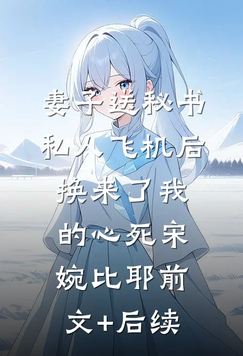 妻子送秘书私人飞机后，换来了我的心死宋婉比耶前文+后续